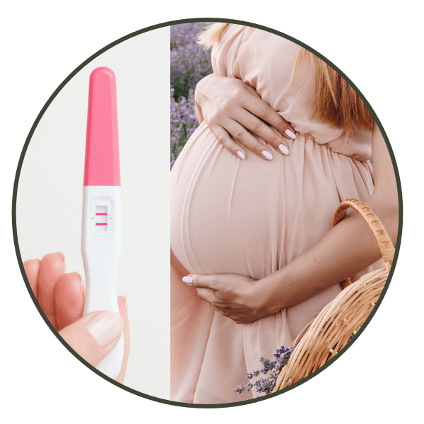 palms acupuncture treatment fertility 2